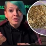 Kuidas valida siidritaimi ja üllatada naabreid saagiga: aednik andis tõhusaid