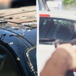 Linnud ei paskenda enam autosid: seda on vaja teha