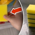 Miks panna käsn sügavkülma: lihtne trikk kõrvaldab suure probleemi