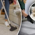 Mitte ühtegi jälge ei jäeta: 7 sammu uriinilõhna eemaldamiseks vaibast Mitte ühtegi jälge ei jäeta: 7 sammu uriinilõhna eemaldamiseks vaibast