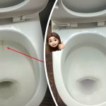 Üks toode valgendab teie tettpoti kausi säravaks: kuidas 15 minutiga