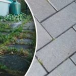 Umbrohud teie hoovist kaovad üleöö, kui pihustate neid ühe köögiravimiga.